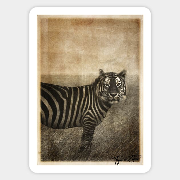 Tiger and Zebra Surreal mashup Sticker by DavoliShop